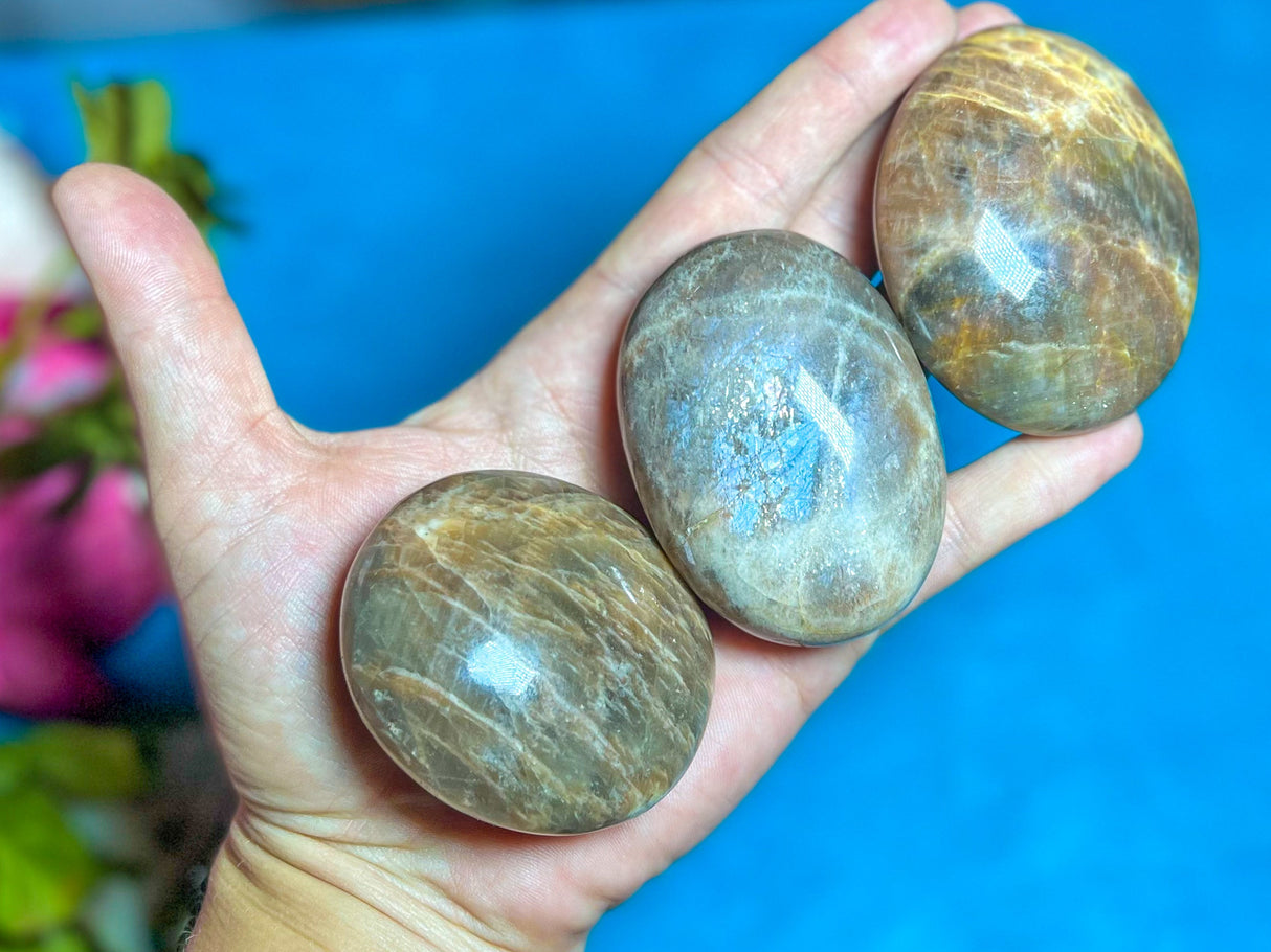 Chocolate Moonstone Crystal Palmstones