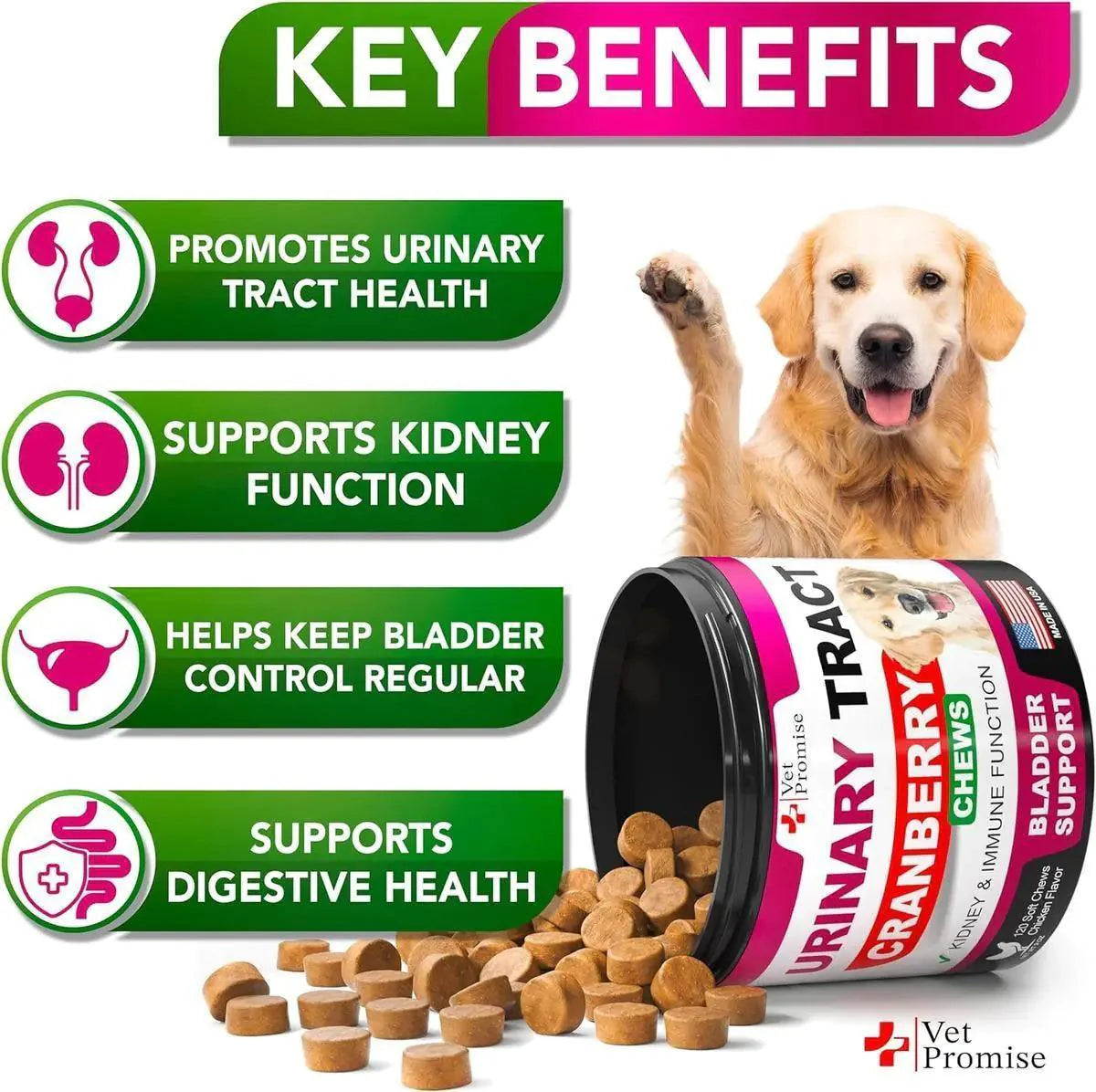 Cranberry Dog UTI & Bladder Control Chews