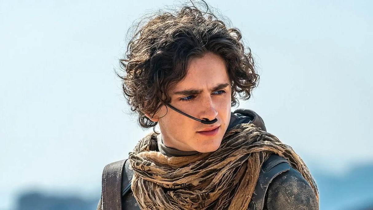 Dune: Part Two (DVD) - Lootquake