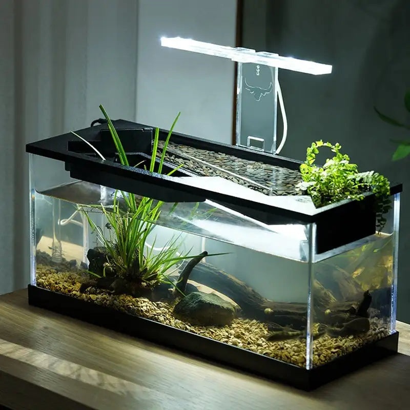 Acrylic Filter Circularly Heating Lighting Integrated Lazy Aquarium - Lootquake