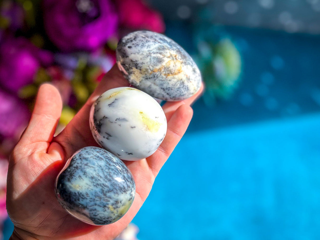 Dendritic Agate Palmstones