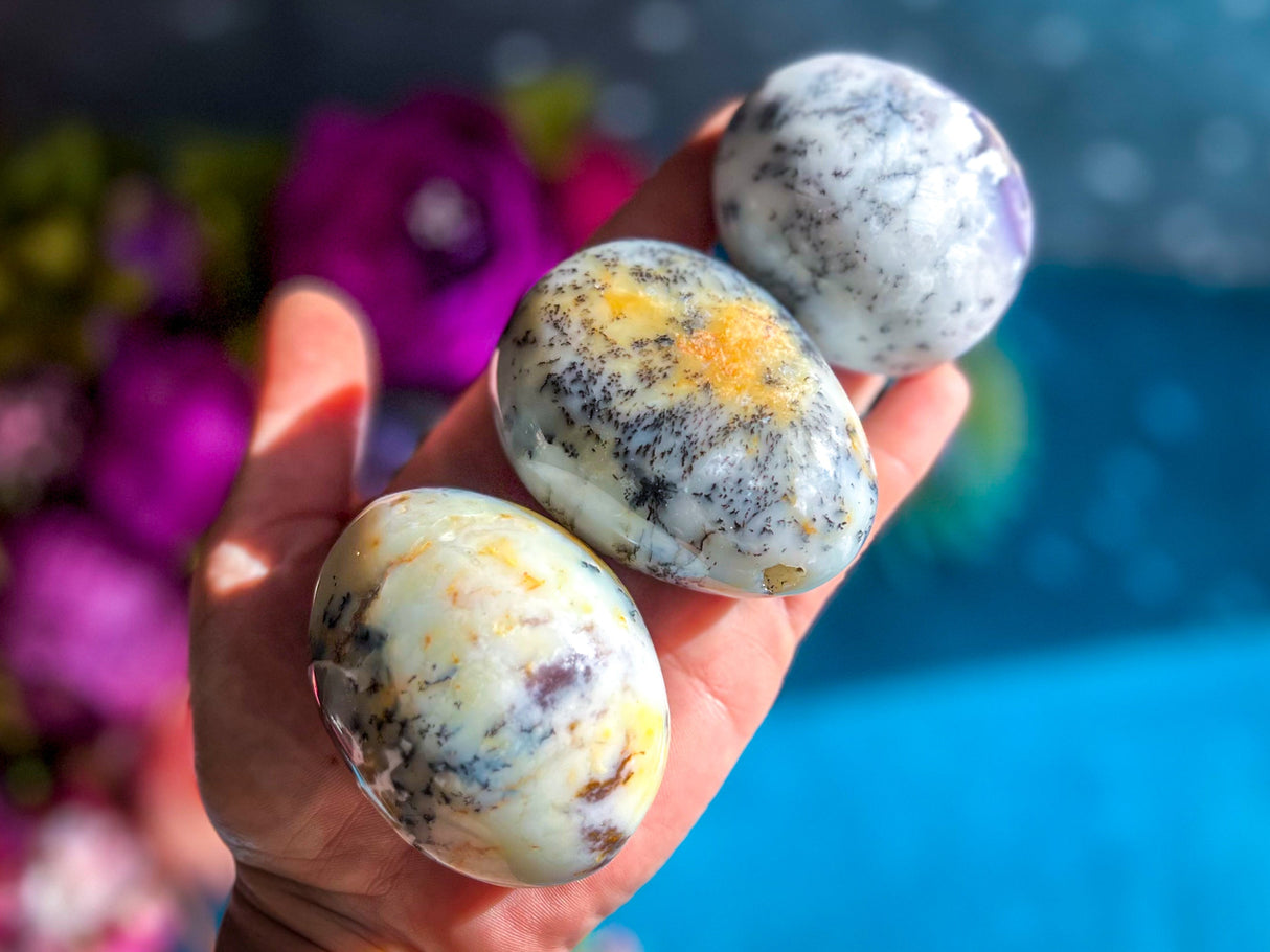 Dendritic Agate Palmstones