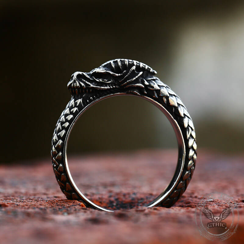 Anillo de acero inoxidable con forma de dragón Ouroboros