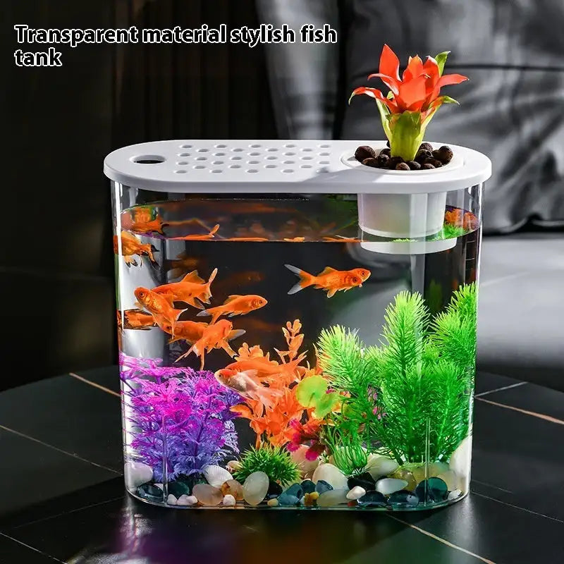 Acrylic Transparent Ecological Incubator Goldfish Tank - Lootquake