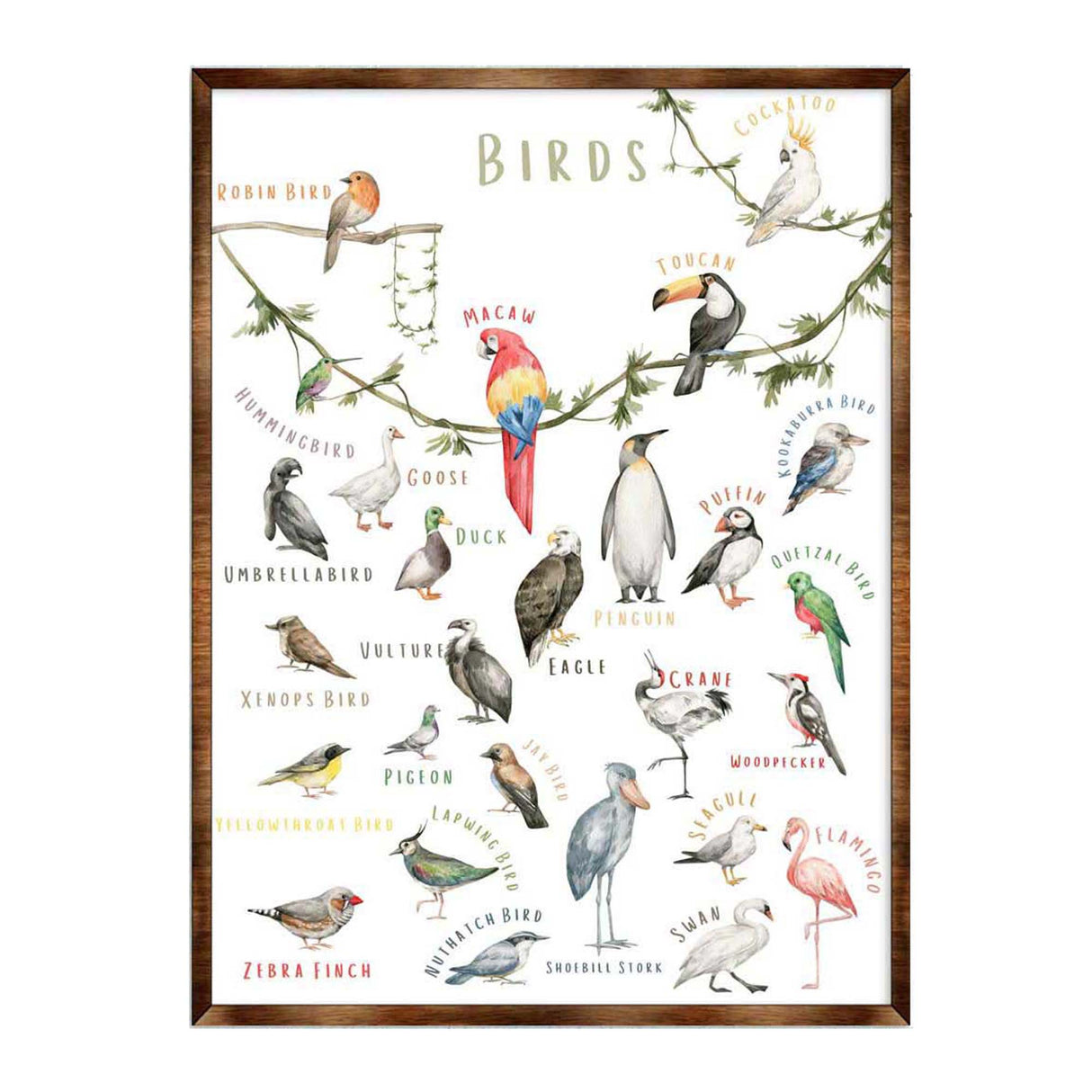 Nature Birds Wooden Wall Decor - Kids room decor - First day of school gift - ABC 123 Kids - Homeschool I Educational Poster - Art for kids - Alphabet - Classroom Decor - 310214