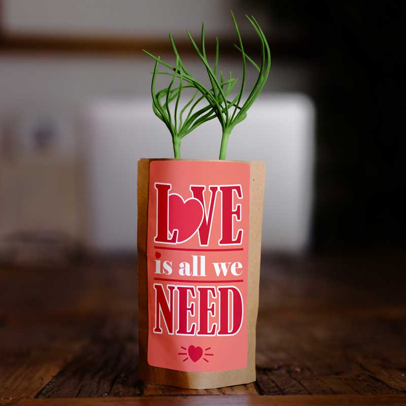 Love is All We Need-0