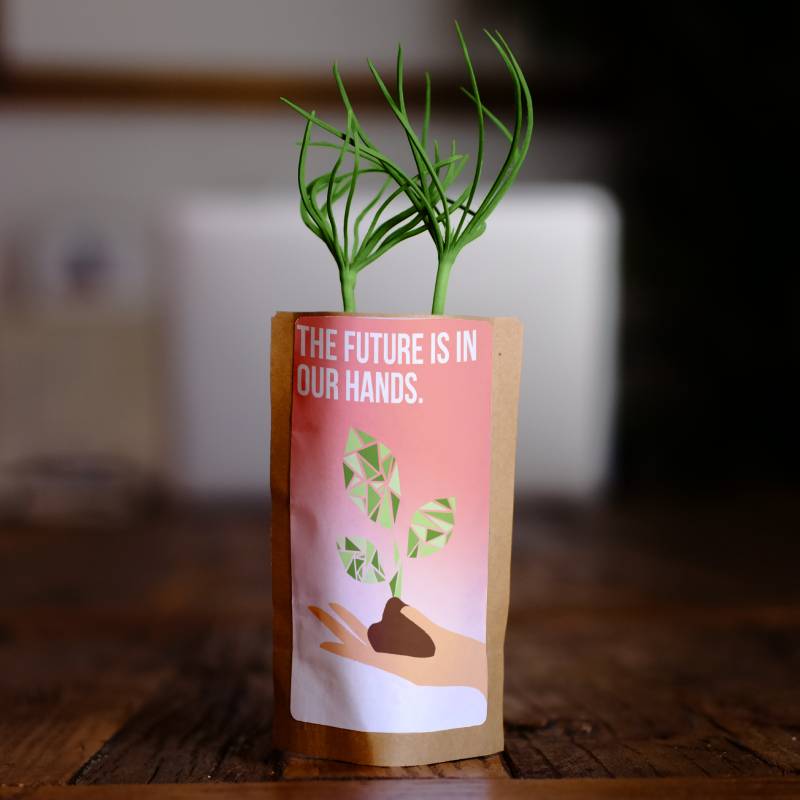 The Future Is In Our Hands Tree - Plants 50 Trees