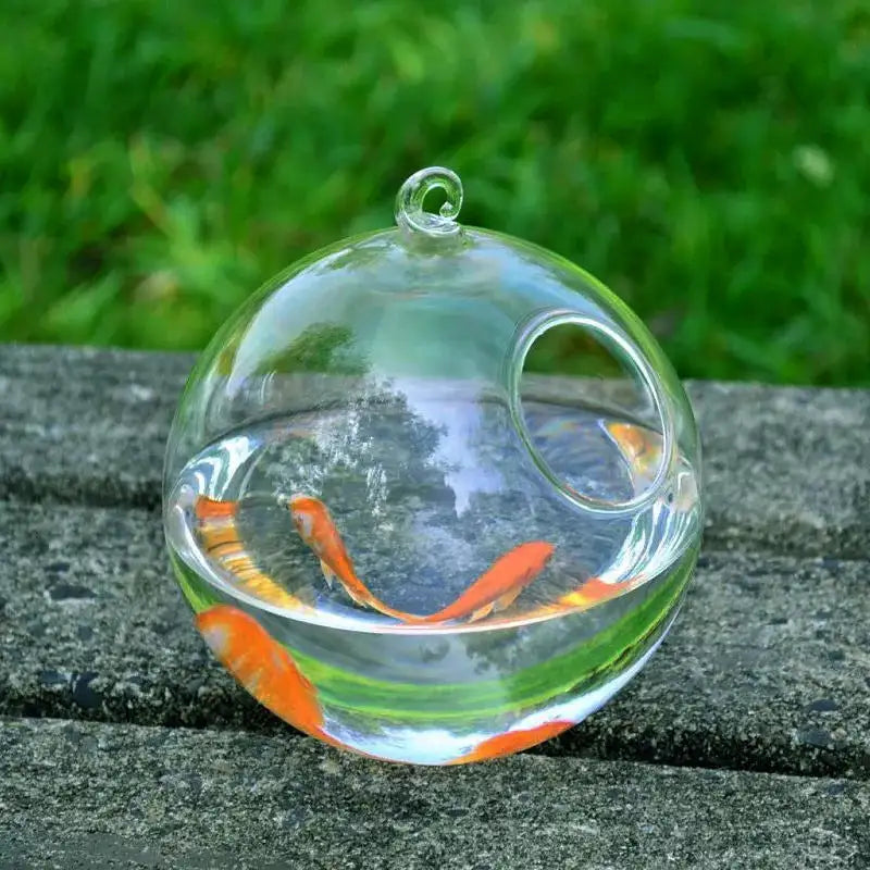Hanging Glass Vase Fish Tank - Lootquake