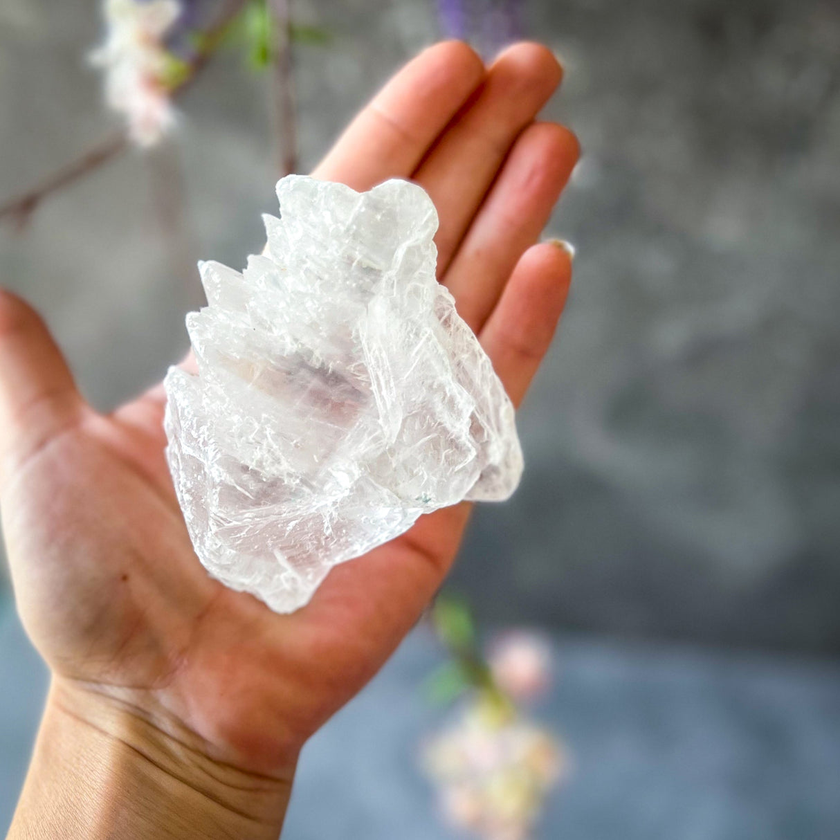 Fishtail Selenite Raw Specimens, Ethically Sourced Water Selenite