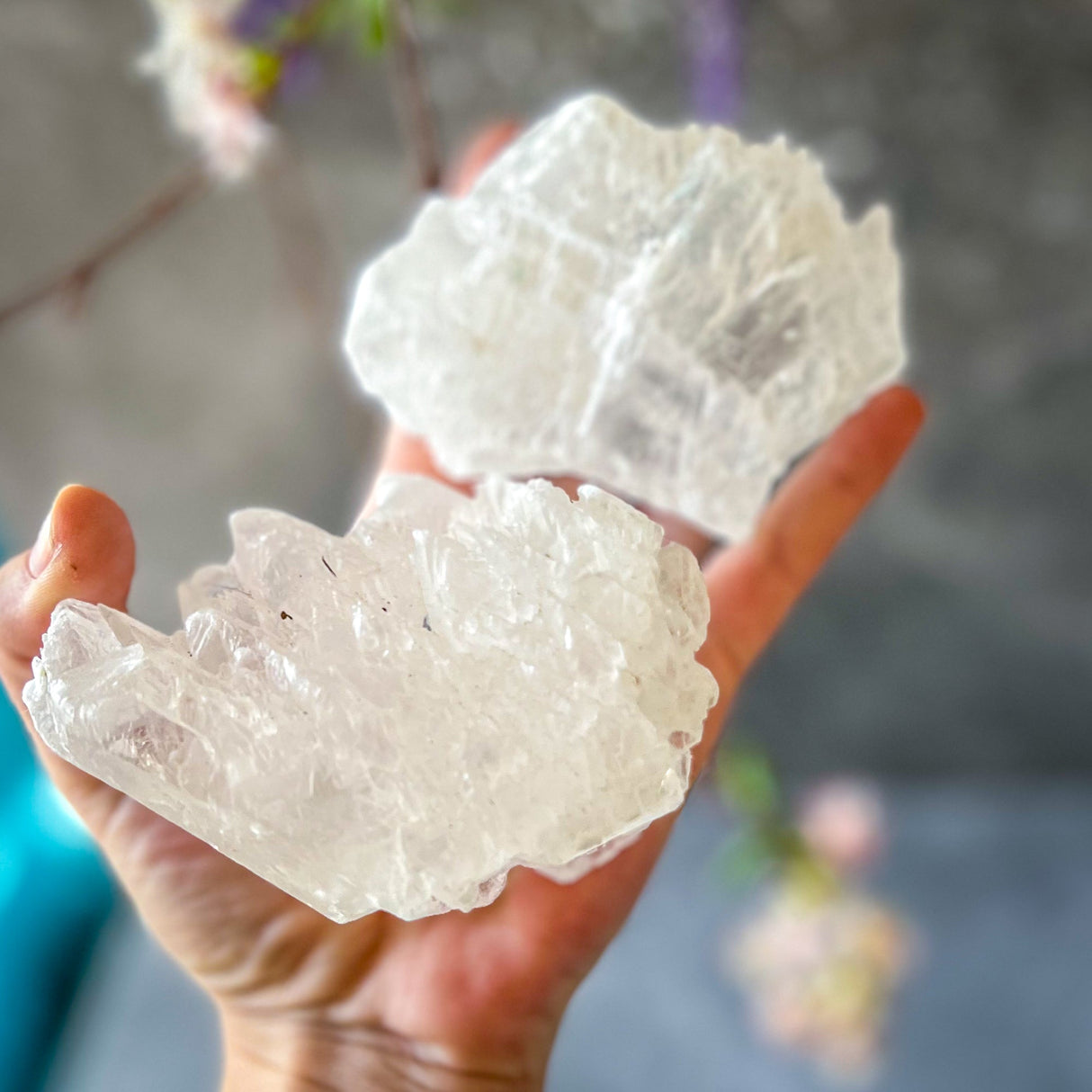 Fishtail Selenite Raw Specimens, Ethically Sourced Water Selenite