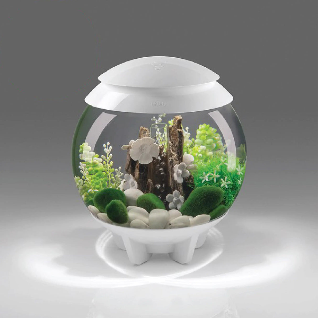 biOrb Halo 30 Aquarium with MCR Lighting - 8 Gallon White - Lootquake