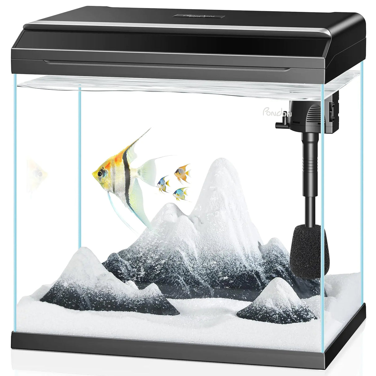 PONDON 7 Gallon Fish Tank with Detachable Lid Low-Iron Glass Aquarium Starter Kit with LED Light Beginner-Friendly Betta Aquarium with Removable Filtration - Lootquake
