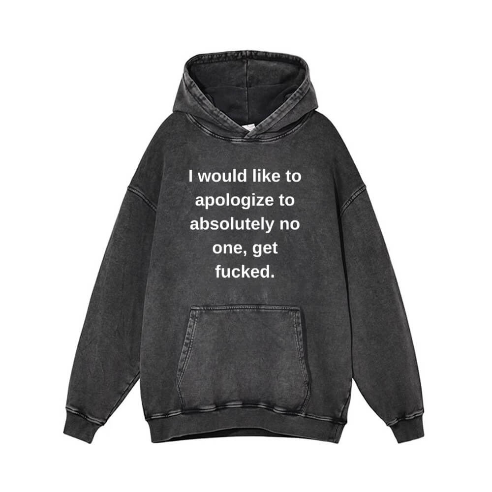 I Would Like To Apologize Vintage Washed Hoodie