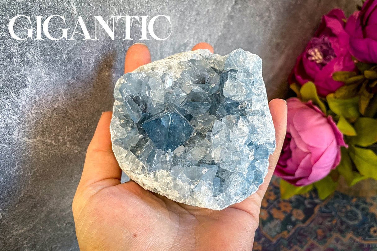 Raw CELESTITE Crystal Clusters, Ethically Sourced Celestite