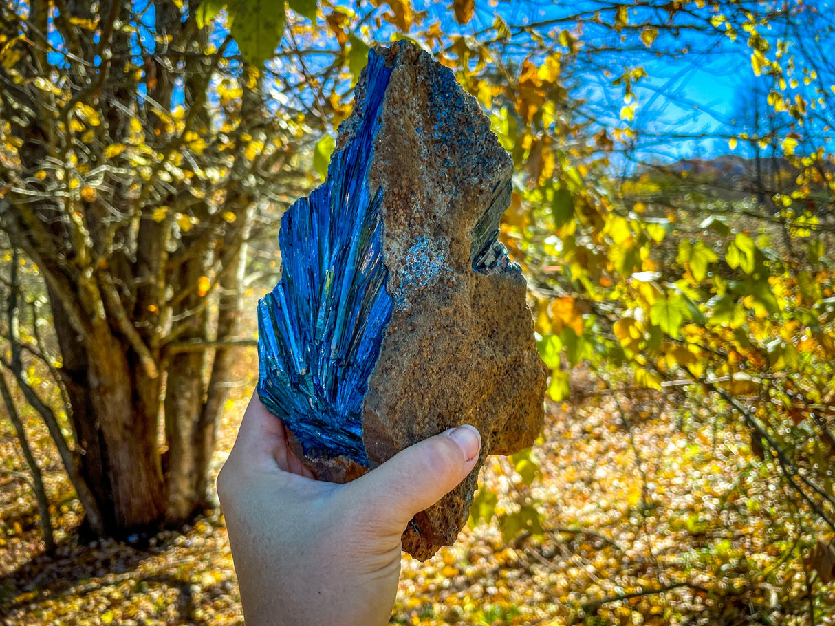 8" Raw VIVIANITE Specimen