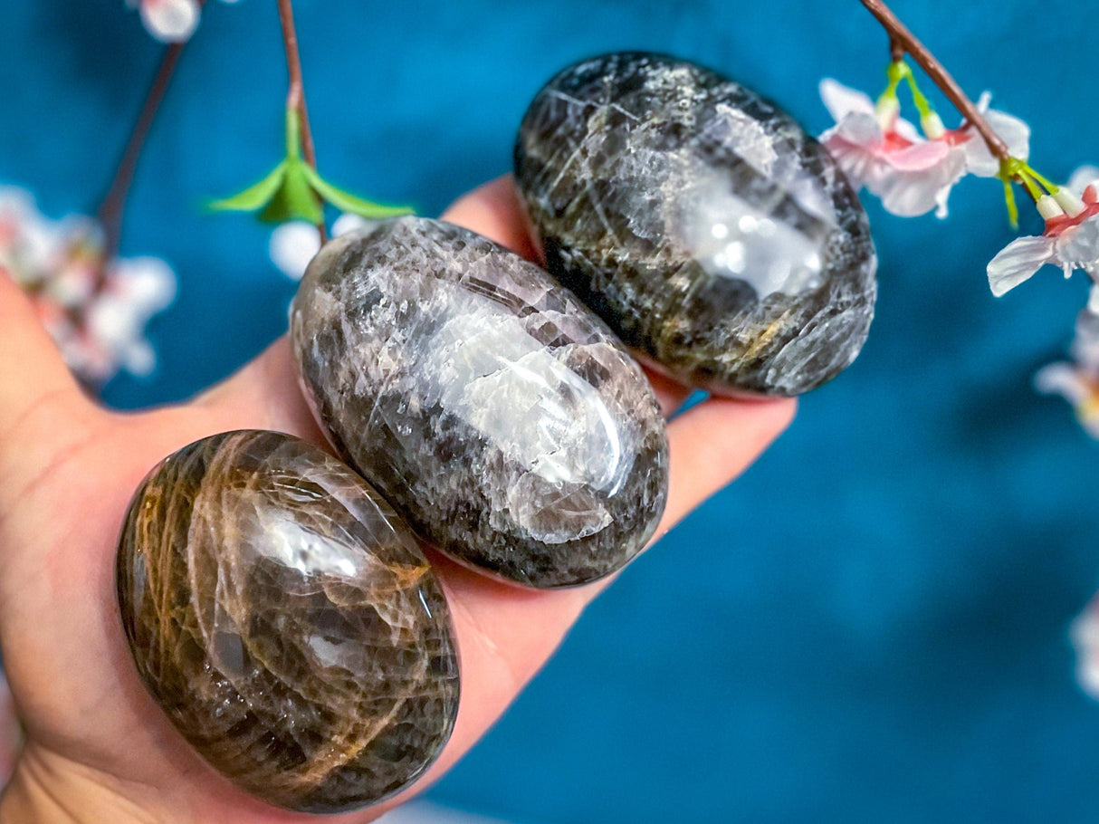 Black Moonstone Palmstones