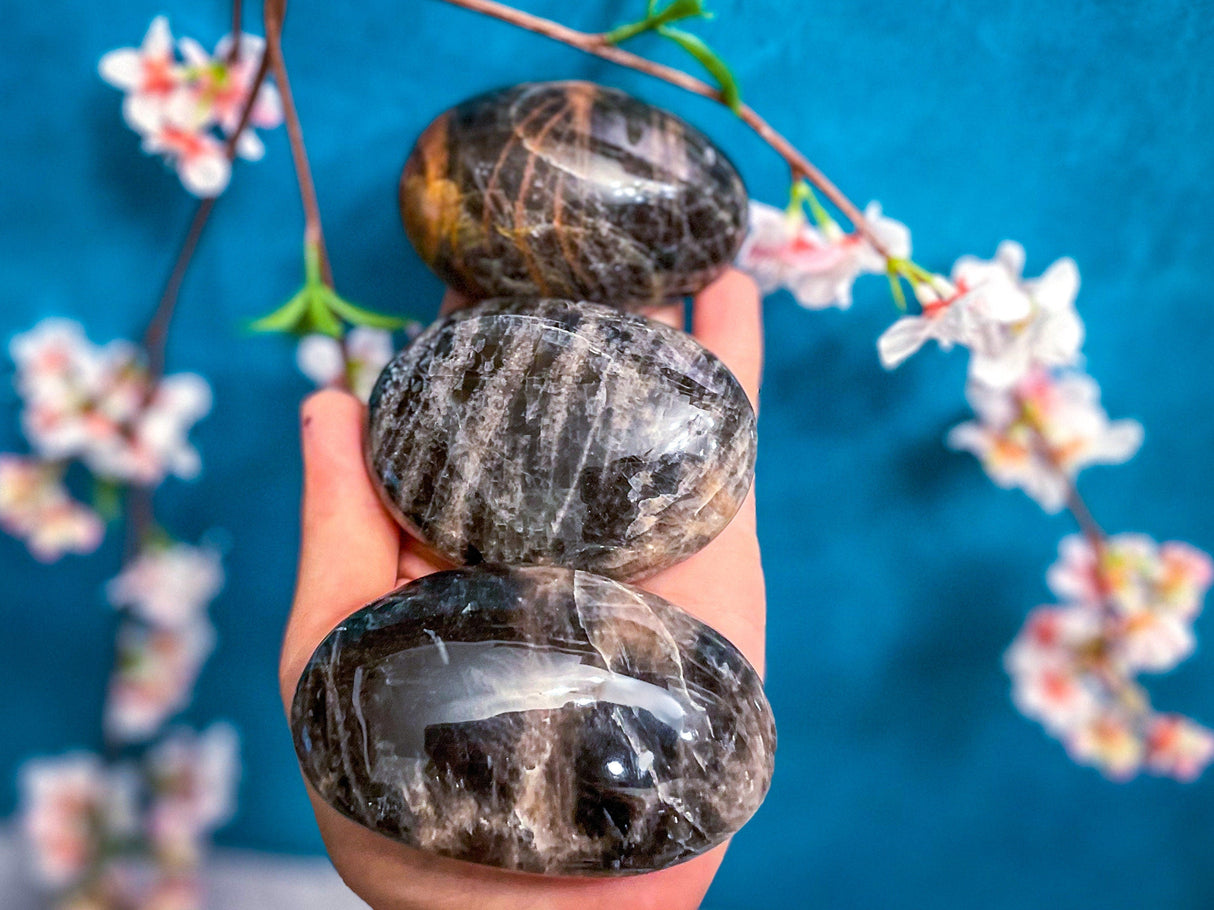 Black Moonstone Palmstones