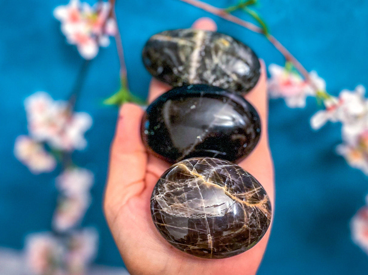 Black Moonstone Palmstones