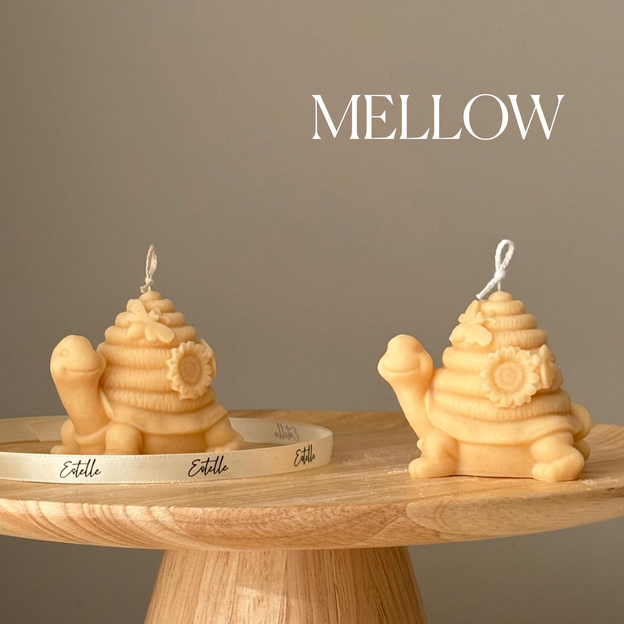 Vela de tortuga linda