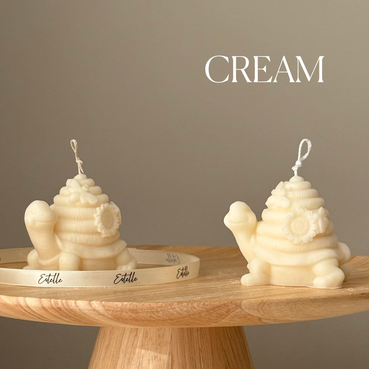 Vela de tortuga linda