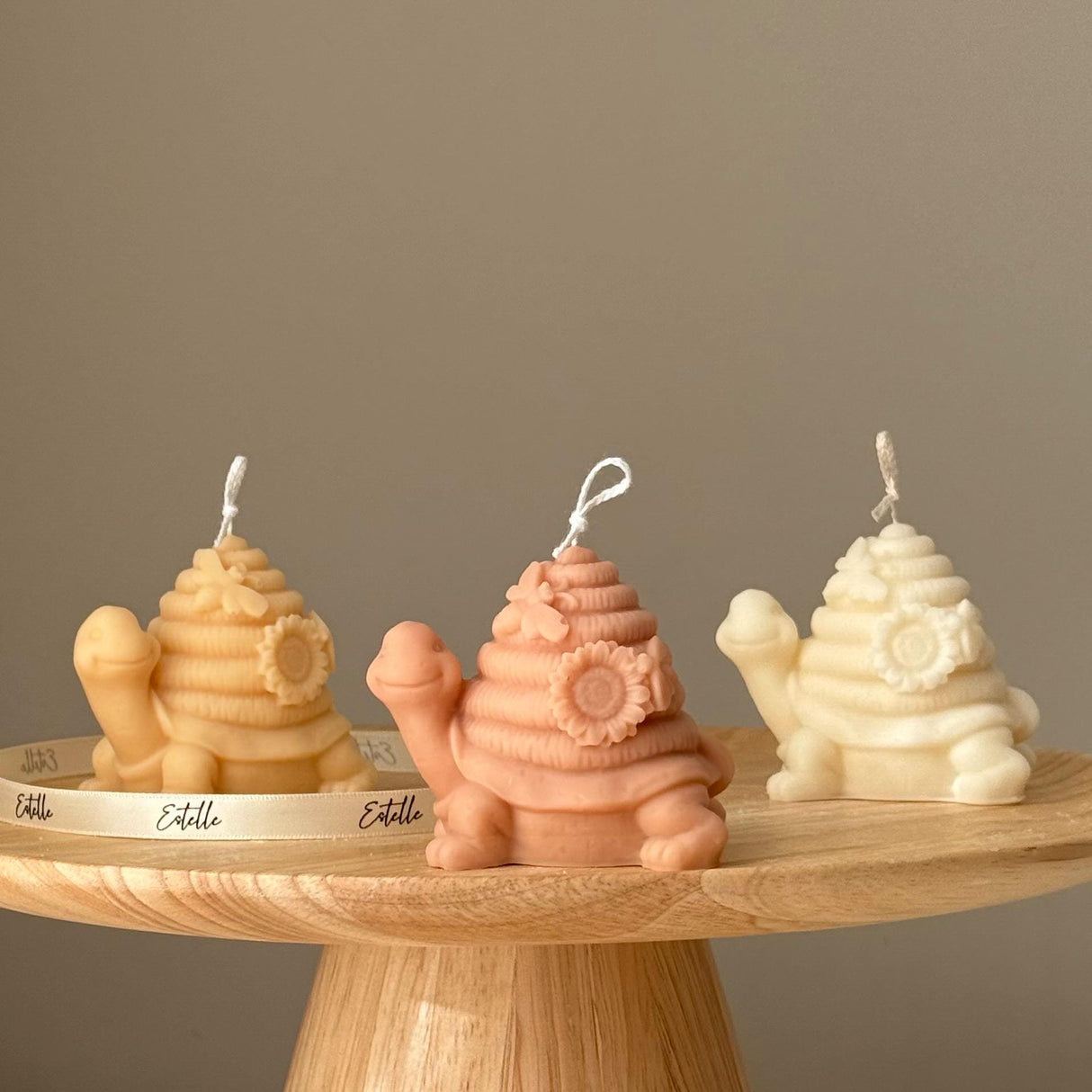 Vela de tortuga linda