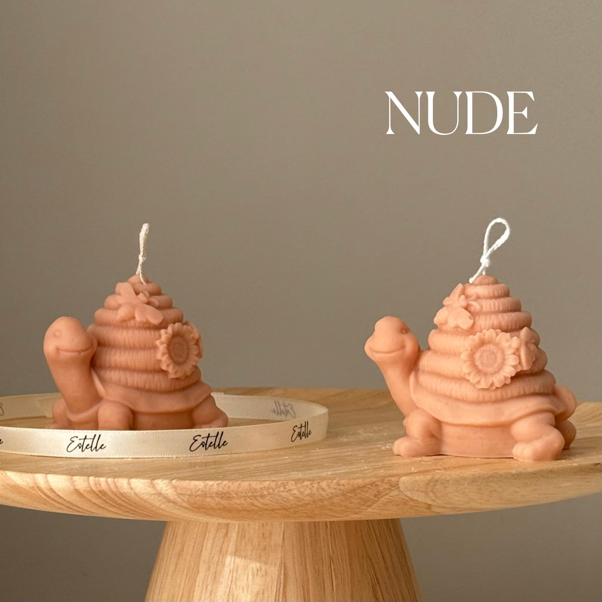 Vela de tortuga linda