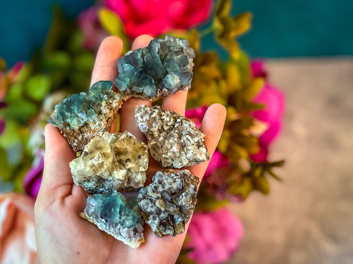 RARE Lady Annabella Fluorite Clusters, Green Purple Yellow and Clear Fluorite, CLOSED Mine!