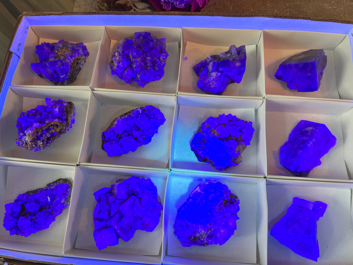 Rare Purple Rain Pocket Fluorite Clusters, Lady Annanella Mine, CLOSED Mine!, Daylight Fluorescent