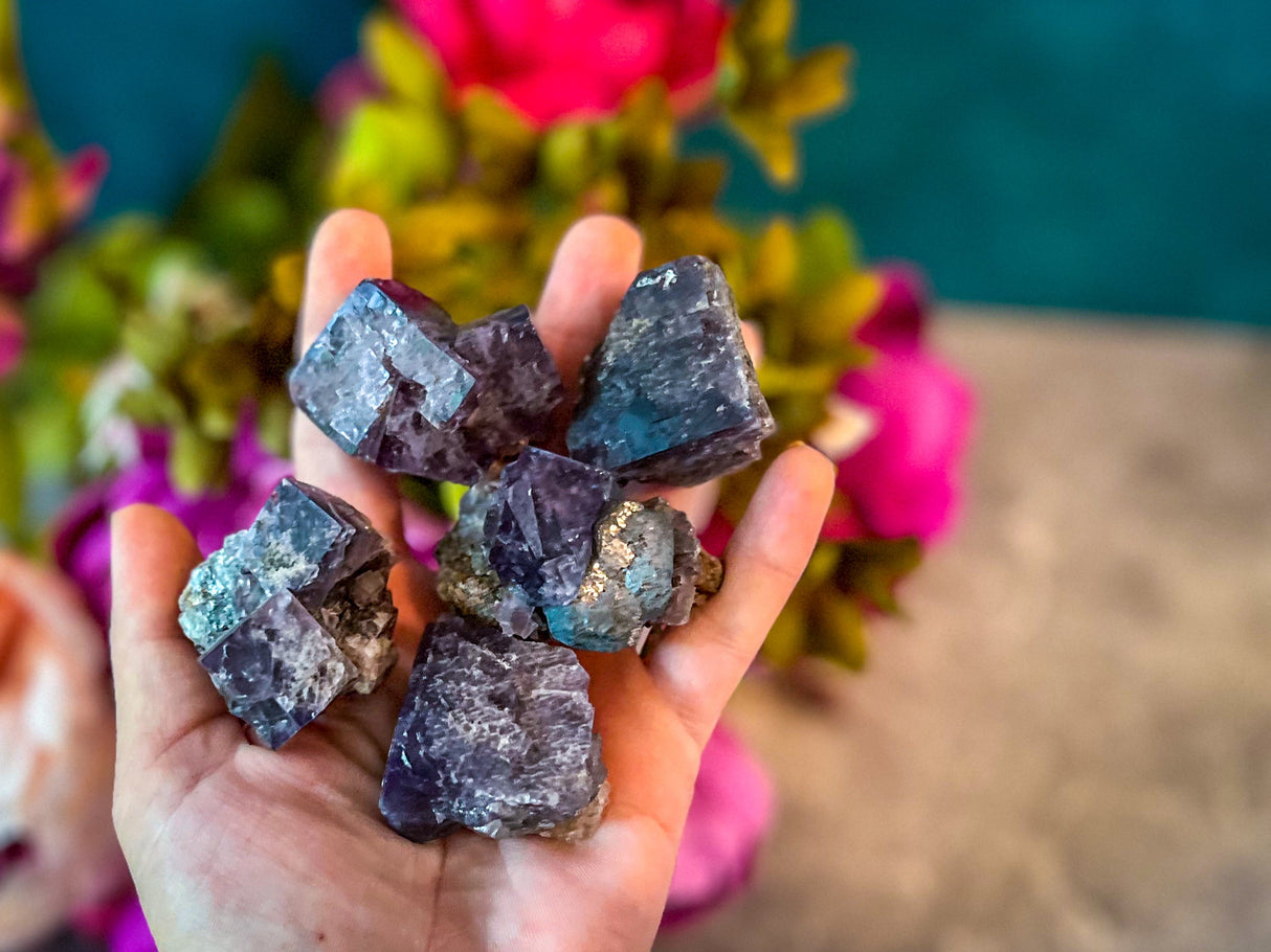 Rare Purple Rain Pocket Fluorite Clusters, Lady Annanella Mine, CLOSED Mine!, Daylight Fluorescent