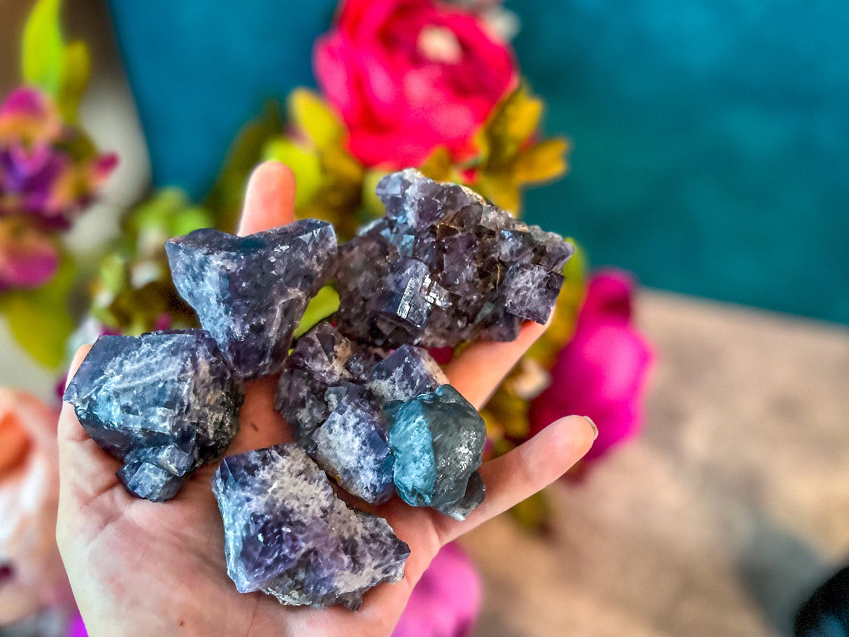 Rare Purple Rain Pocket Fluorite Clusters, Lady Annanella Mine, CLOSED Mine!, Daylight Fluorescent