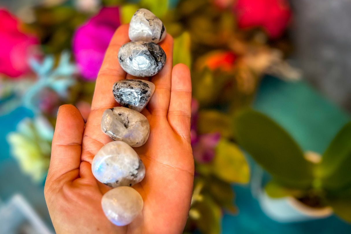 Tumbled RAINBOW Moonstone