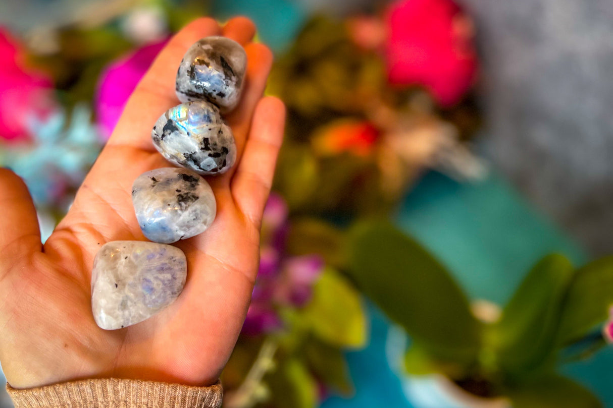 Tumbled RAINBOW Moonstone