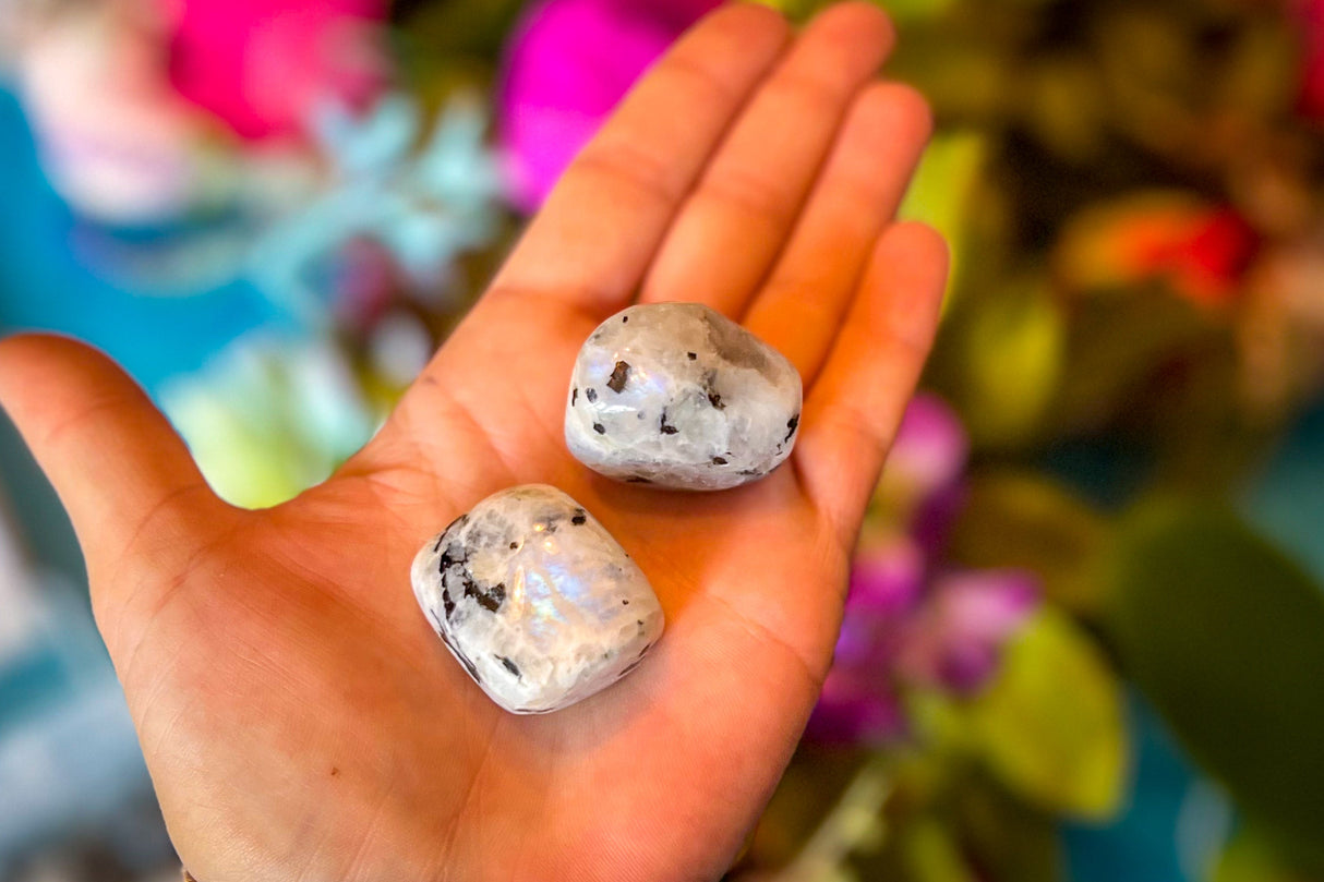 Tumbled RAINBOW Moonstone