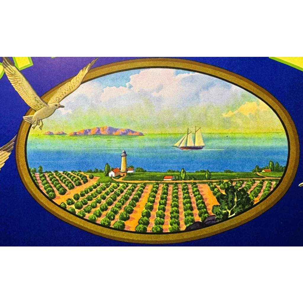 Rare 1940s Channel Lemons Label from Santa Barbara County