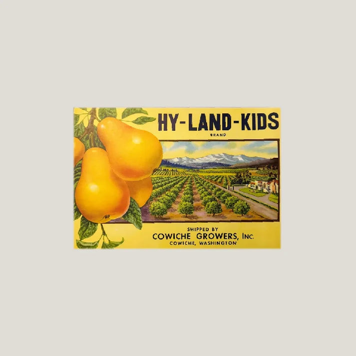 Rare 1940s Hy-Land-Kids Pears Label from Cowiche Washington