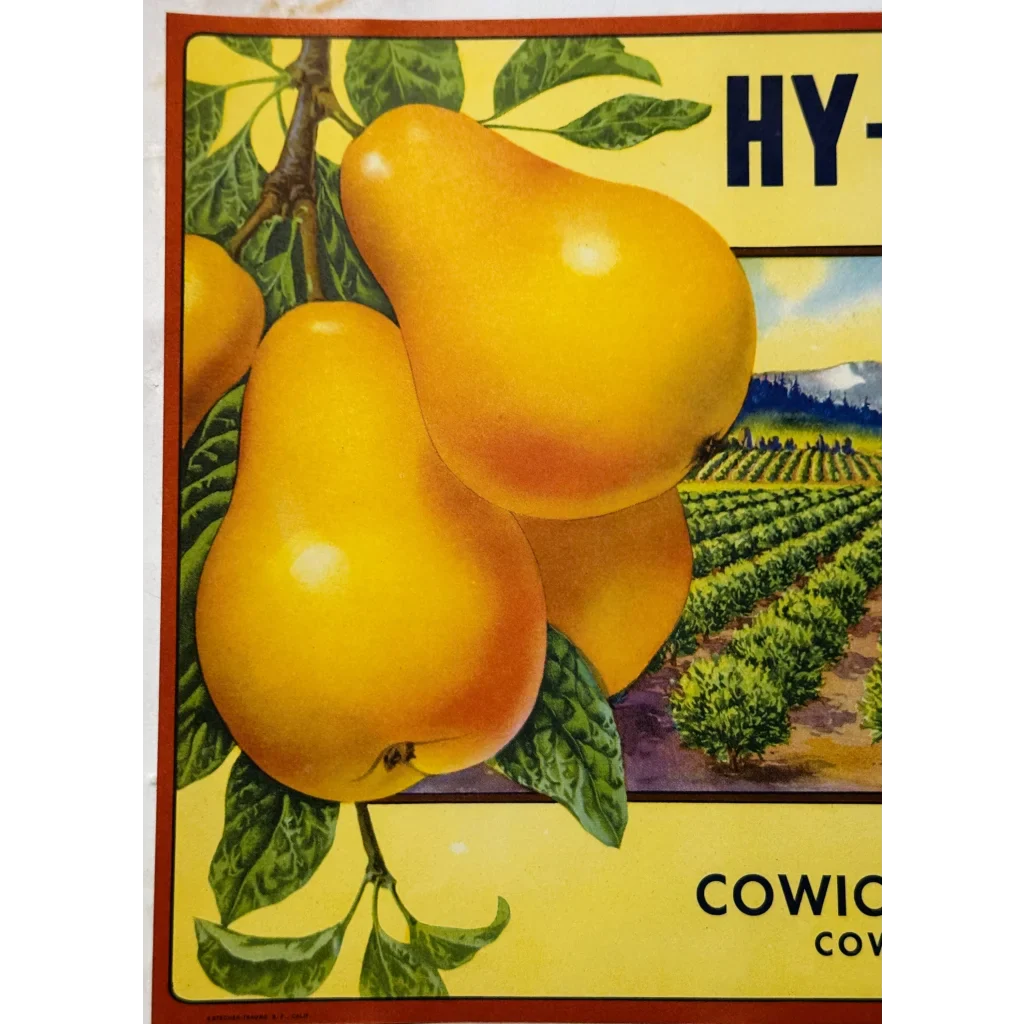 Rare 1940s Hy-Land-Kids Pears Label from Cowiche Washington