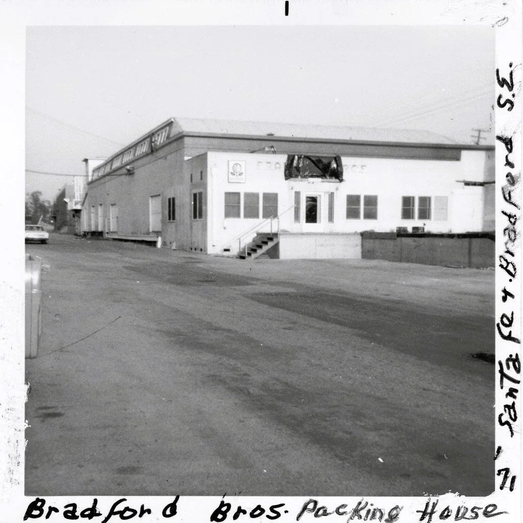 Rare 1940s Pala Brave Sunkist Label Bursts with Vintage Charm