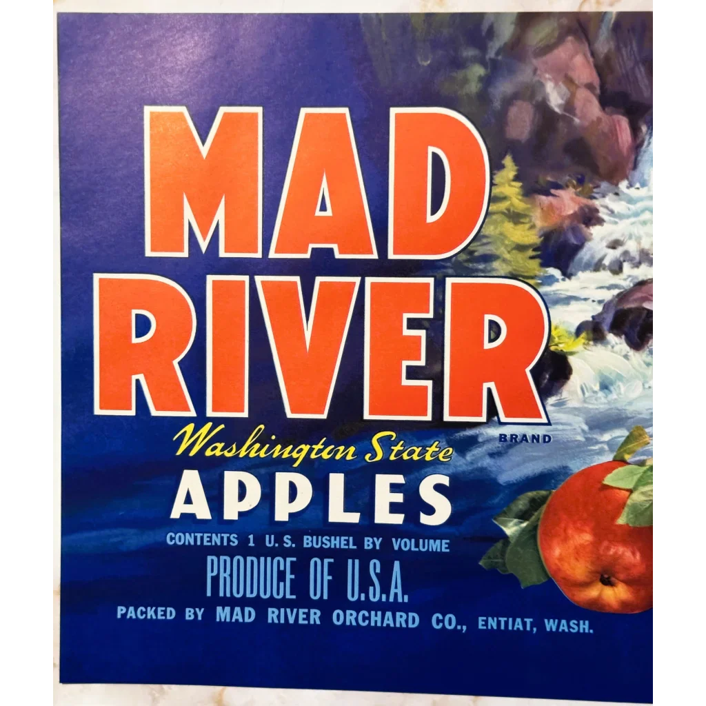 Rare 1950s Mad River Apple Label Showcases Washington's Bounty