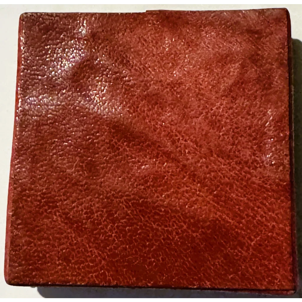 Rare 1960s Indian Leather Coin Purse Bursts with Vintage Charm