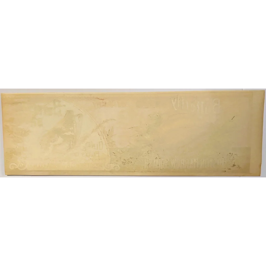 Rare Antique 1890s Butterfly Boston Marrow Squash Label Unearthed