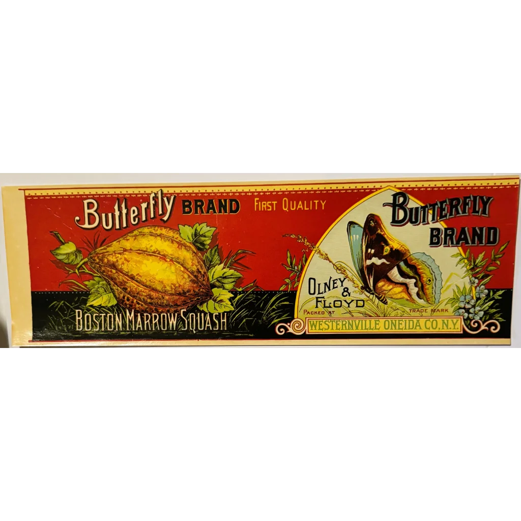 Rare Antique 1890s Butterfly Boston Marrow Squash Label Unearthed