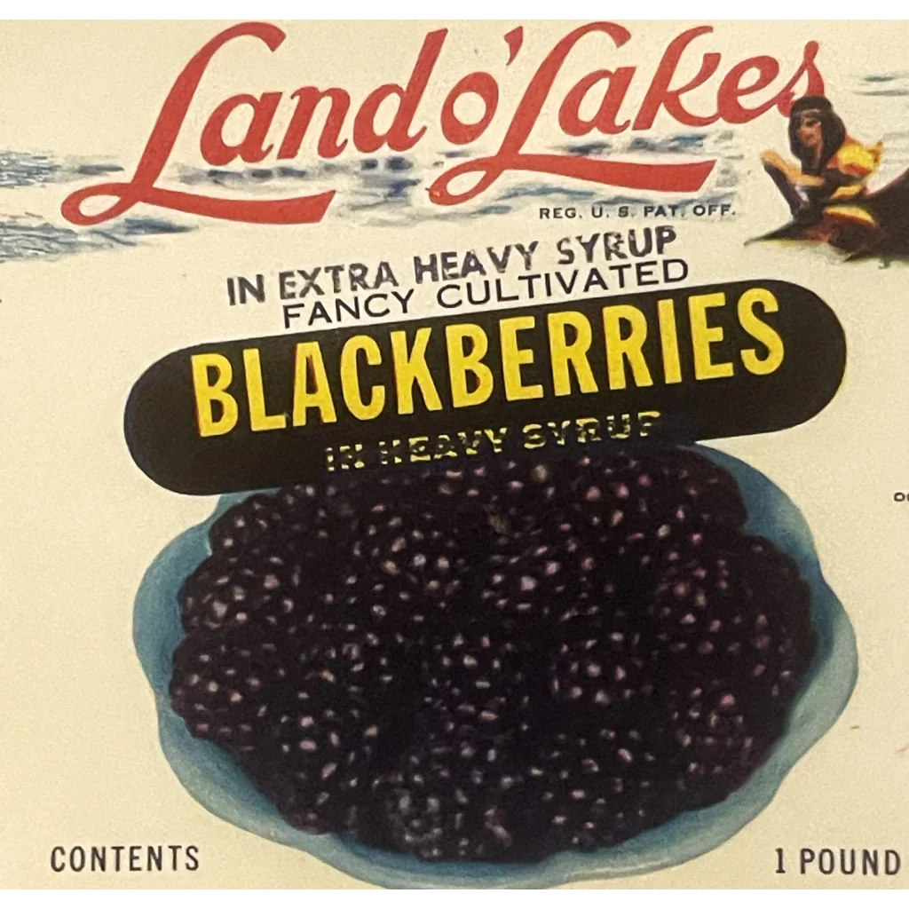 Rare Antique 1950s Land O' Lakes Can Label from Maryland