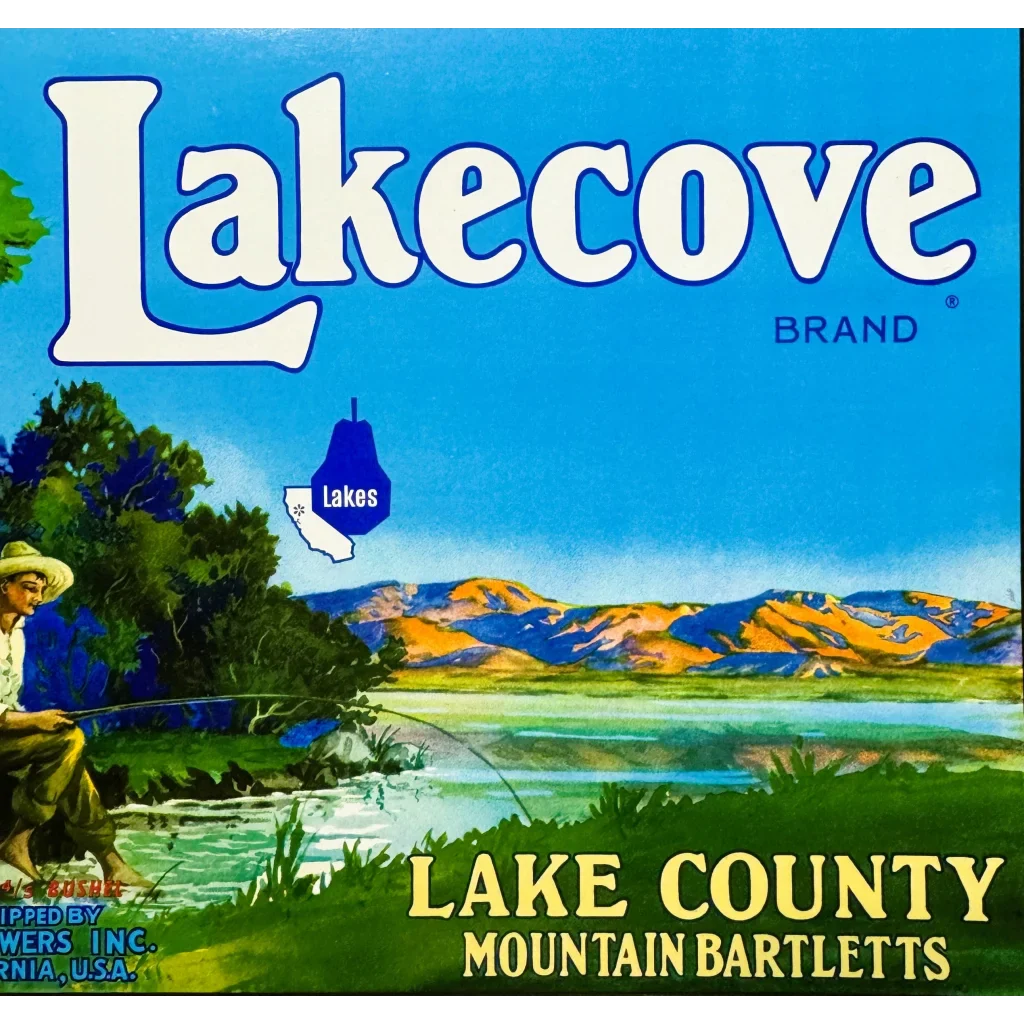 Rare Vintage 1950s Lakecove Bartlett Pears Crate Label