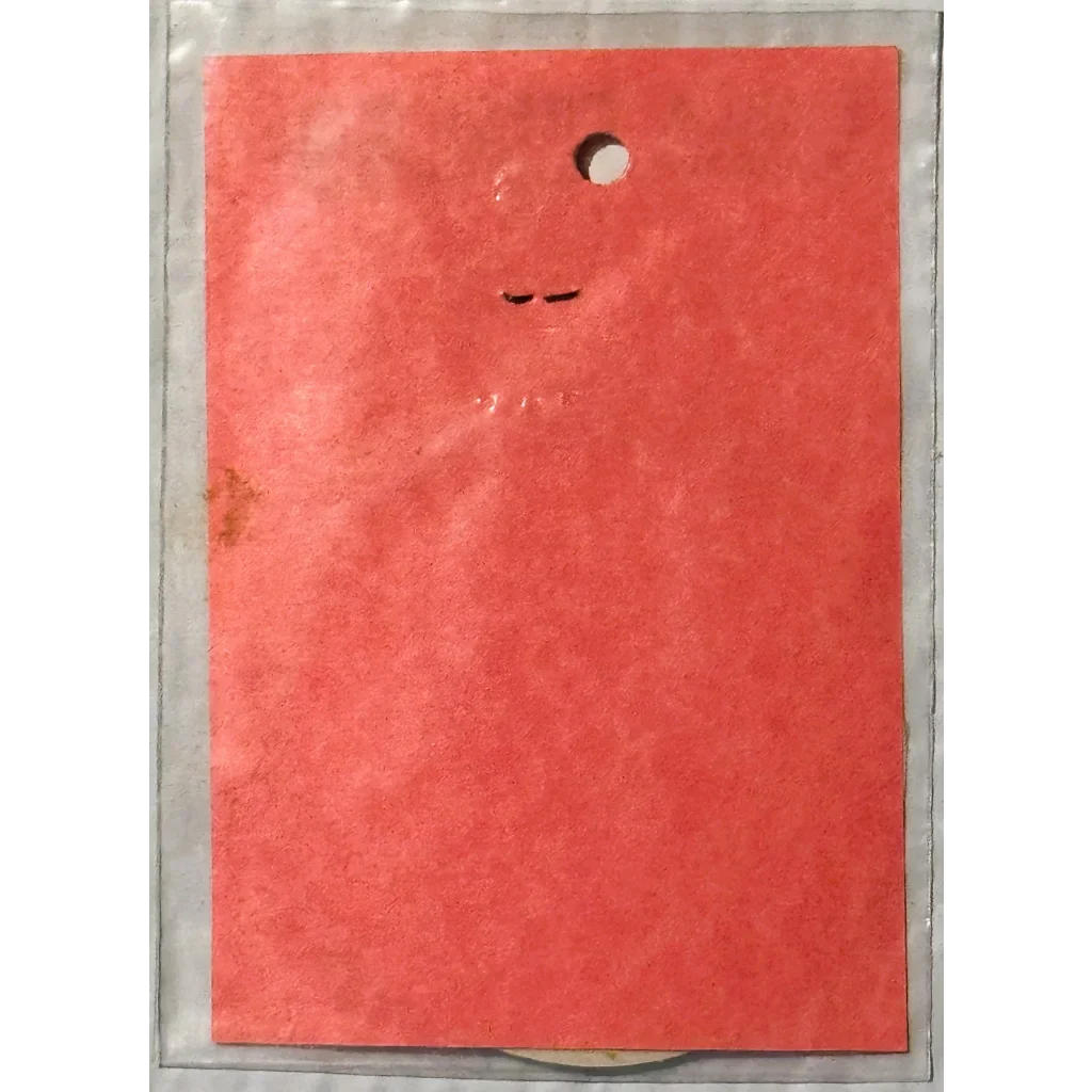 Rare Vintage Embla Crest Hockey Decal Uncovered After Decades