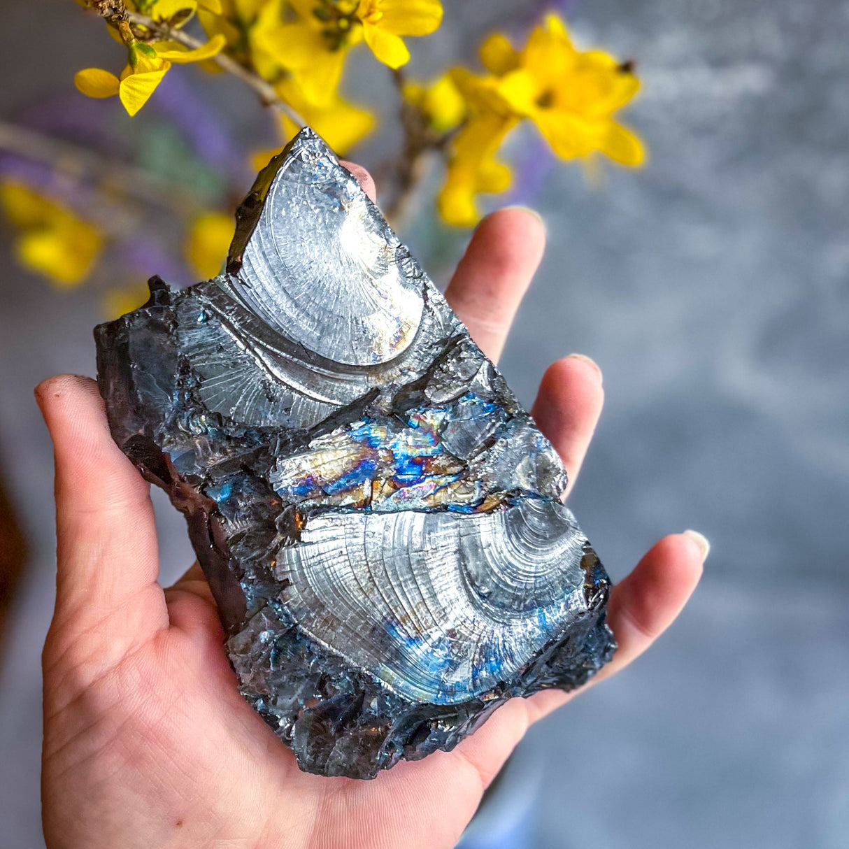 Raw Columbian Shungite