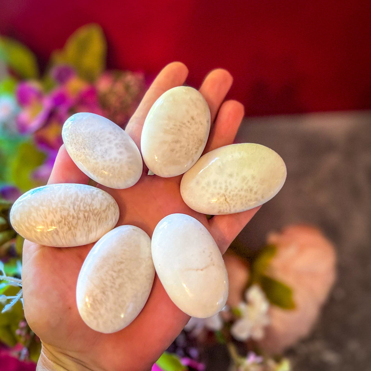 Piedras de palma de escolecita, escolecita pulida