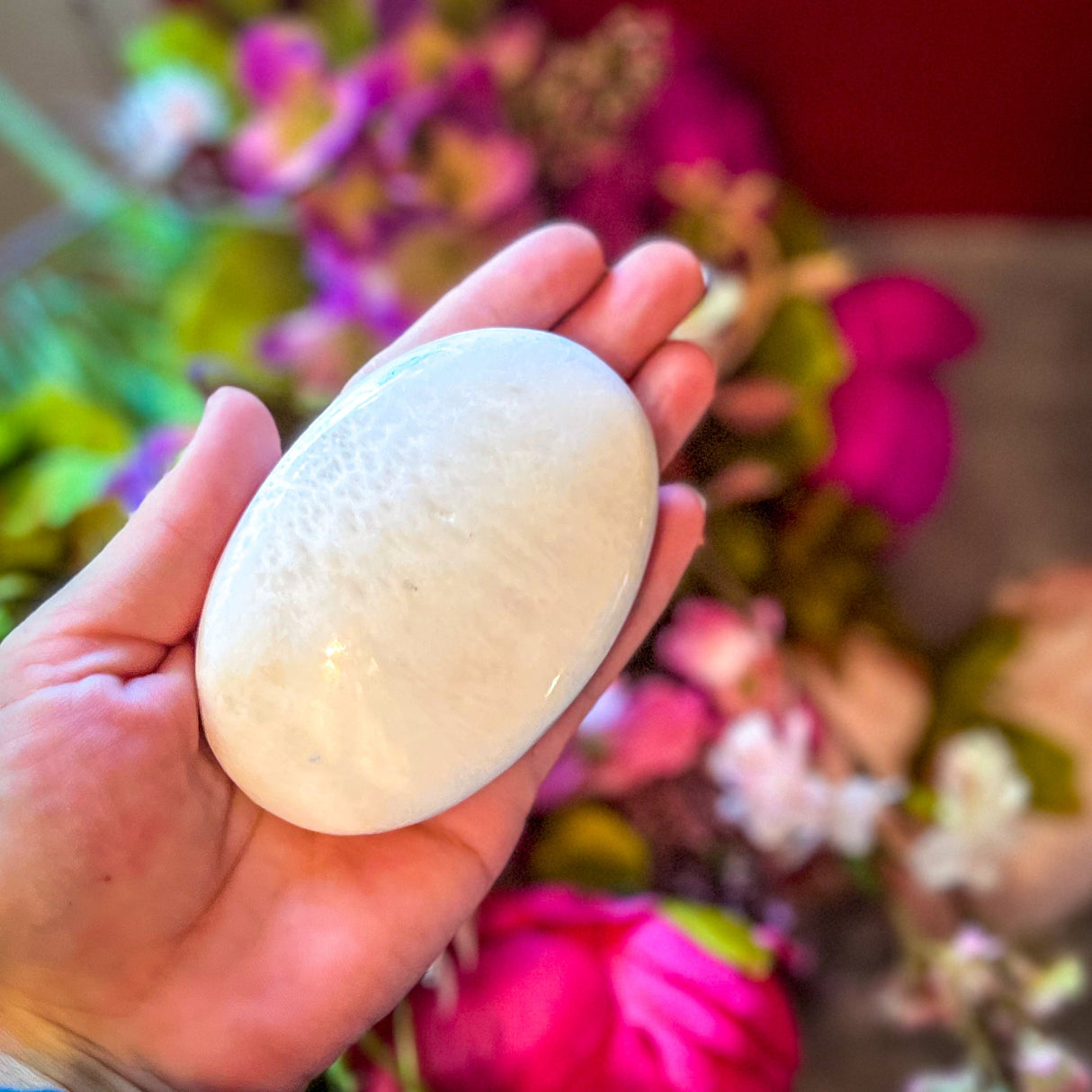 Piedras de palma de escolecita, escolecita pulida