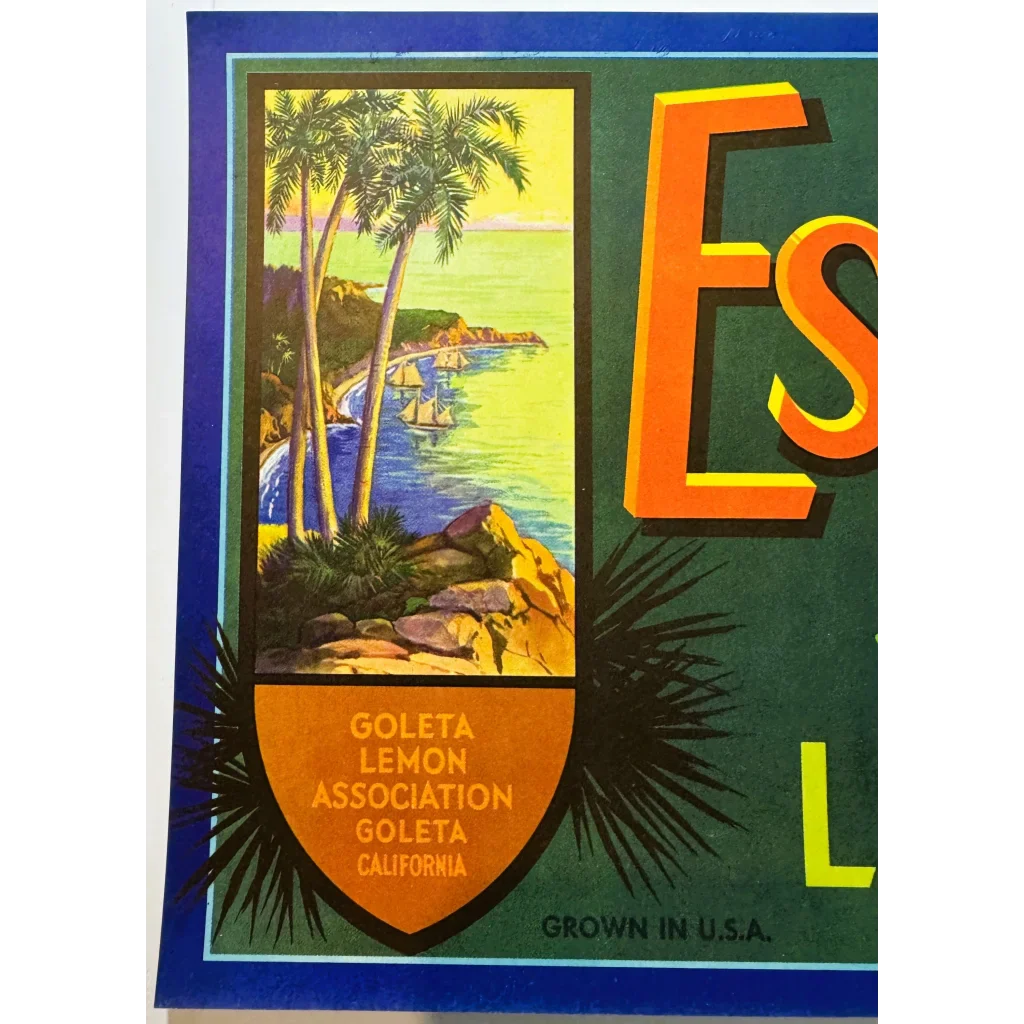 Snag a Sunny Slice of the 50s Vintage Estero Lemons Crate Label