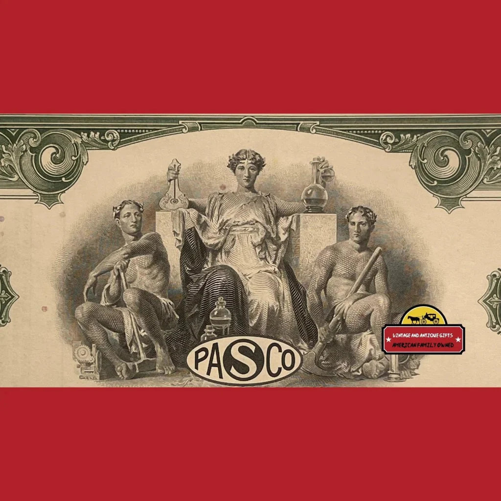 Rare 1960s Pan American Sulphur Stock Certificate from Delaware