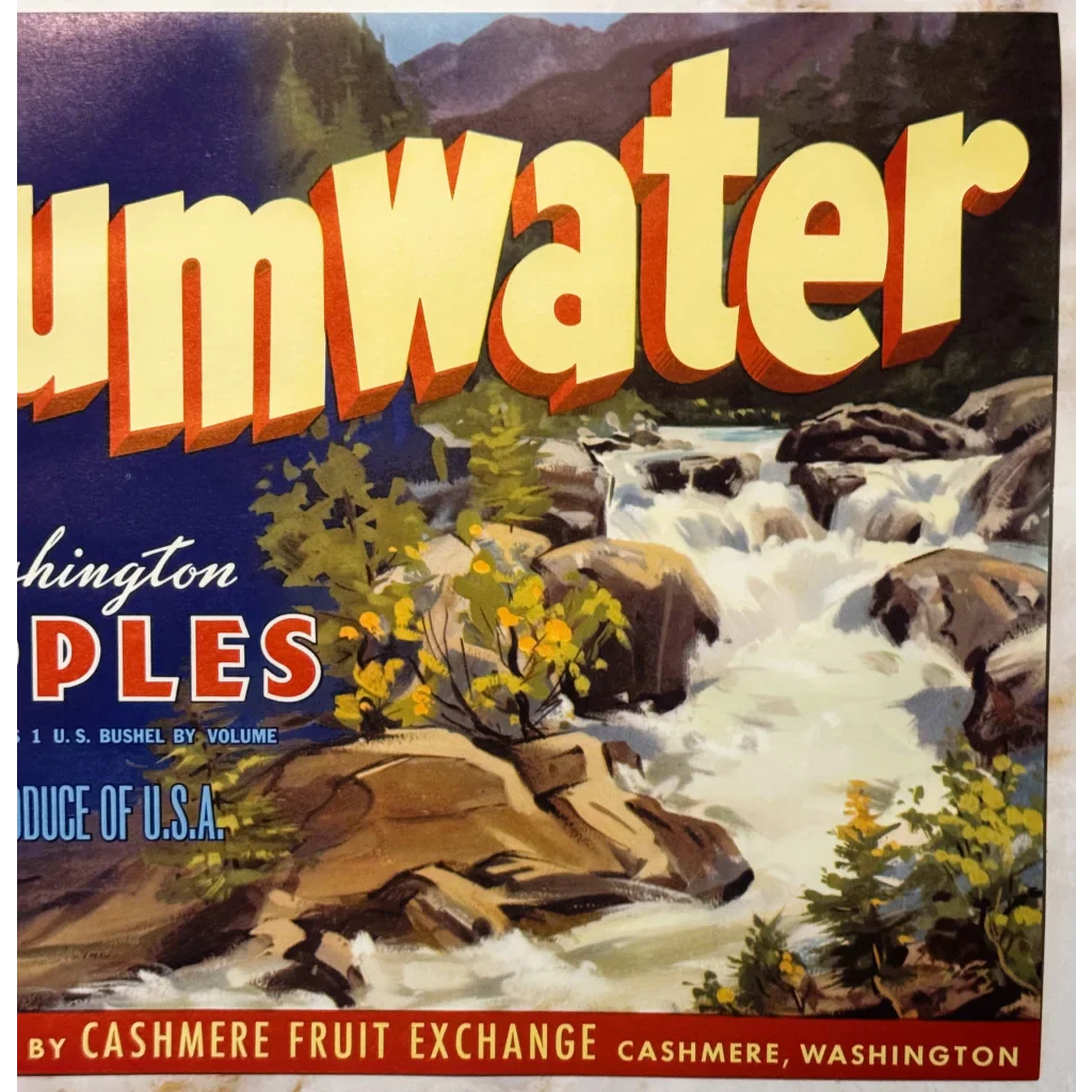 Vintage Tumwater Apple Label from Cashmere Fruit Exchange